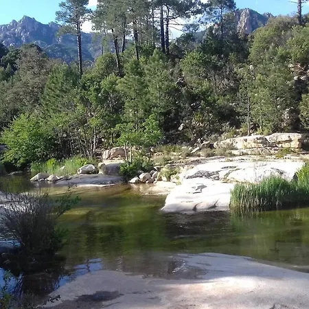 Spacieuse à Zonza Avec Piscine Privée Villa Conca