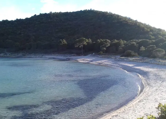Villa Spacieuse A Zonza Avec Piscine Privee